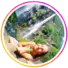 maklum balas2-foto profil